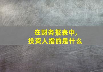 在财务报表中,投资人指的是什么