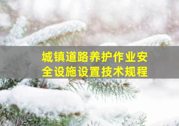 城镇道路养护作业安全设施设置技术规程