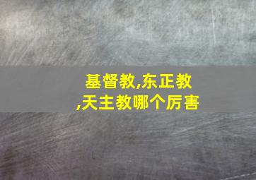 基督教,东正教,天主教哪个厉害