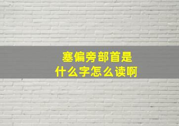 塞偏旁部首是什么字怎么读啊