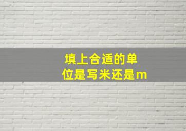 填上合适的单位是写米还是m