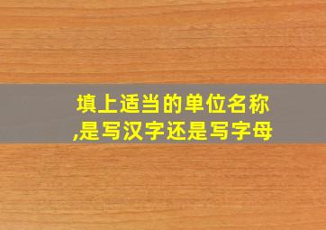 填上适当的单位名称,是写汉字还是写字母