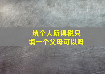 填个人所得税只填一个父母可以吗