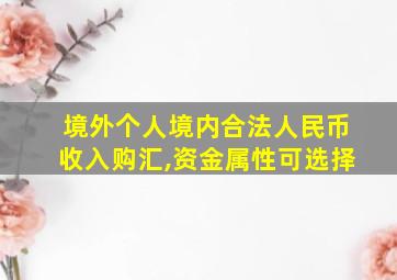 境外个人境内合法人民币收入购汇,资金属性可选择