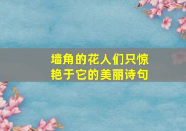 墙角的花人们只惊艳于它的美丽诗句