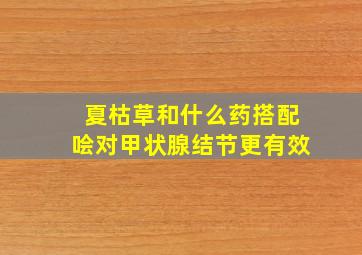 夏枯草和什么药搭配哙对甲状腺结节更有效