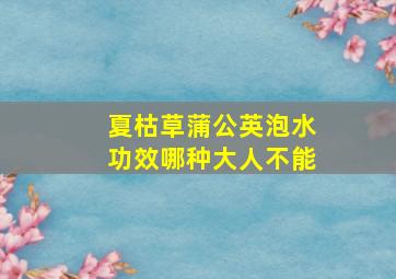 夏枯草蒲公英泡水功效哪种大人不能