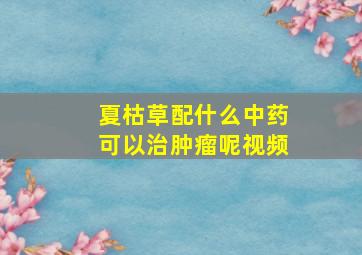 夏枯草配什么中药可以治肿瘤呢视频