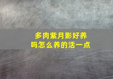 多肉紫月影好养吗怎么养的活一点