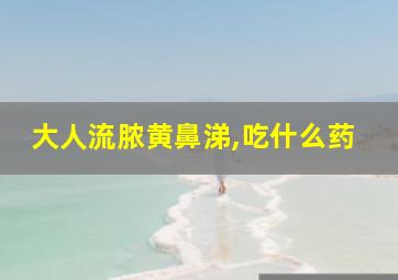 大人流脓黄鼻涕,吃什么药