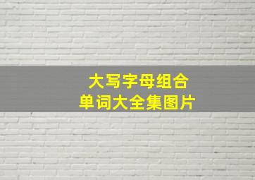 大写字母组合单词大全集图片