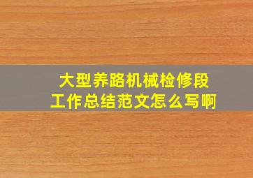 大型养路机械检修段工作总结范文怎么写啊