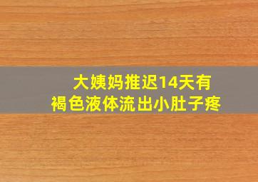 大姨妈推迟14天有褐色液体流出小肚子疼