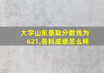 大学山东录取分数线为621,各科成绩怎么样