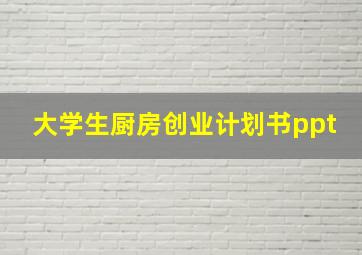 大学生厨房创业计划书ppt