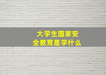 大学生国家安全教育是学什么