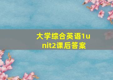 大学综合英语1unit2课后答案