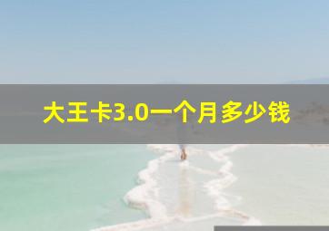 大王卡3.0一个月多少钱