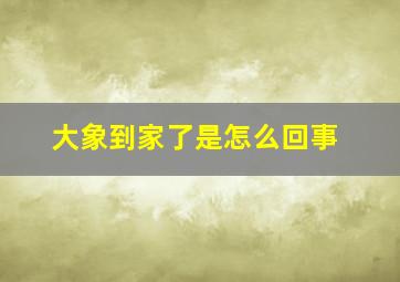 大象到家了是怎么回事