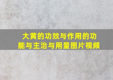 大黄的功效与作用的功能与主治与用量图片视频