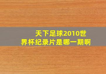 天下足球2010世界杯纪录片是哪一期啊