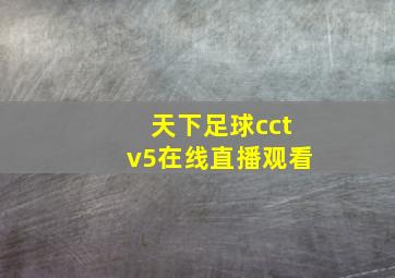 天下足球cctv5在线直播观看