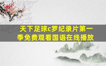 天下足球c罗纪录片第一季免费观看国语在线播放