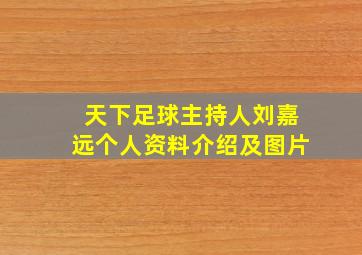 天下足球主持人刘嘉远个人资料介绍及图片