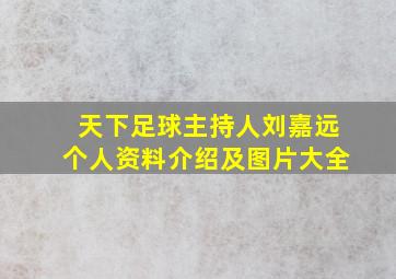 天下足球主持人刘嘉远个人资料介绍及图片大全