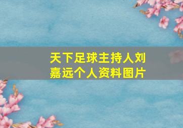 天下足球主持人刘嘉远个人资料图片