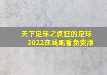 天下足球之疯狂的足球2022在线观看免费版