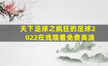 天下足球之疯狂的足球2022在线观看免费高清