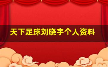 天下足球刘晓宇个人资料