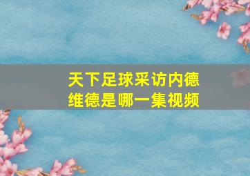 天下足球采访内德维德是哪一集视频