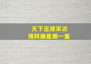 天下足球采访博阿滕是哪一集