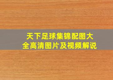 天下足球集锦配图大全高清图片及视频解说