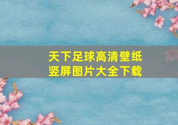 天下足球高清壁纸竖屏图片大全下载