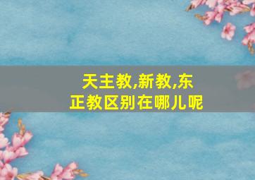 天主教,新教,东正教区别在哪儿呢