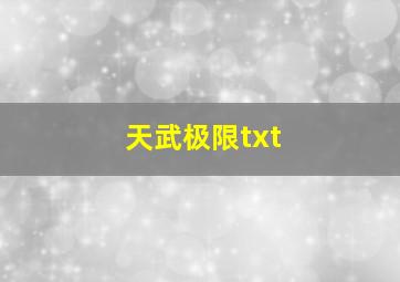 天武极限txt