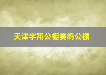 天津宇翔公棚赛鸽公棚