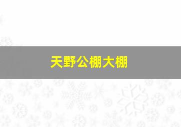 天野公棚大棚