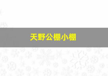 天野公棚小棚