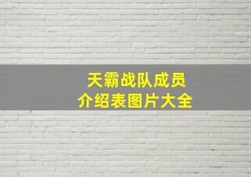 天霸战队成员介绍表图片大全