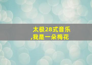 太极28式音乐,我是一朵梅花