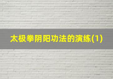 太极拳阴阳功法的演练(1)