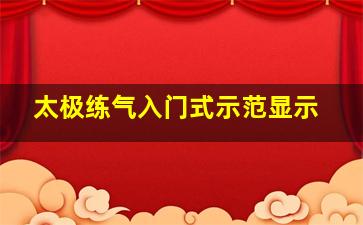 太极练气入门式示范显示