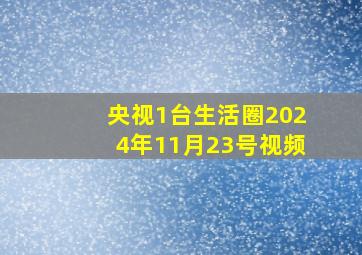 央视1台生活圈2024年11月23号视频