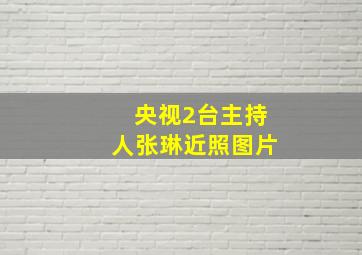 央视2台主持人张琳近照图片