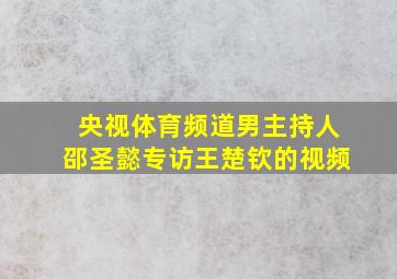 央视体育频道男主持人邵圣懿专访王楚钦的视频