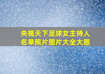 央视天下足球女主持人名单照片图片大全大图